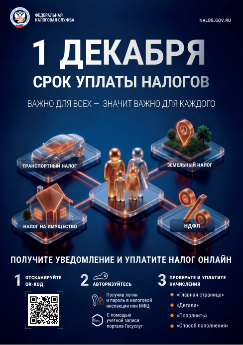 1 Декабря - срок уплаты налогов!
